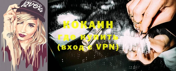 шишки Михайловка