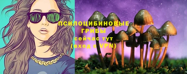 винт Михайлов