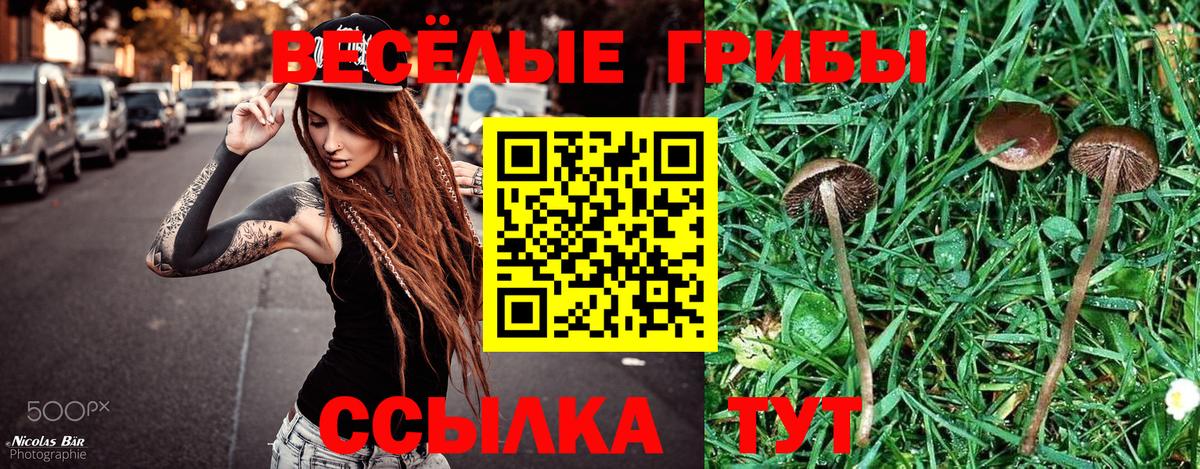 Псилоцибиновые грибы MAGIC MUSHROOMS Шуя