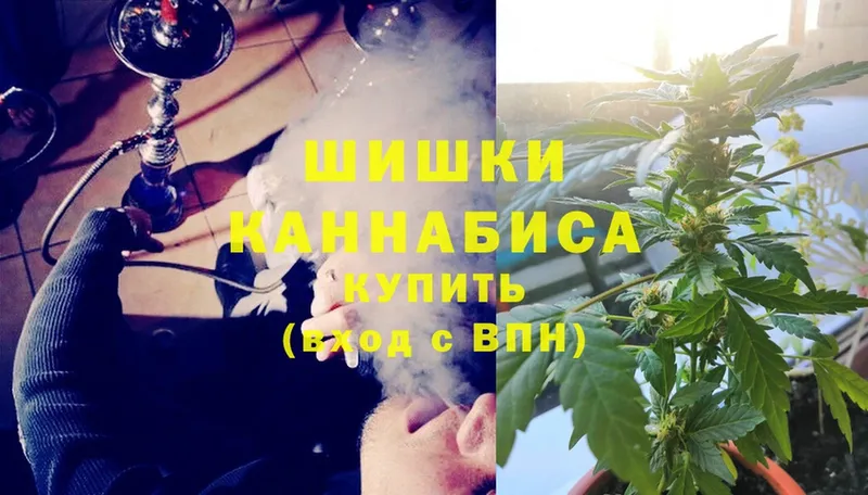 купить наркотики сайты  Шуя  Бошки марихуана индика 